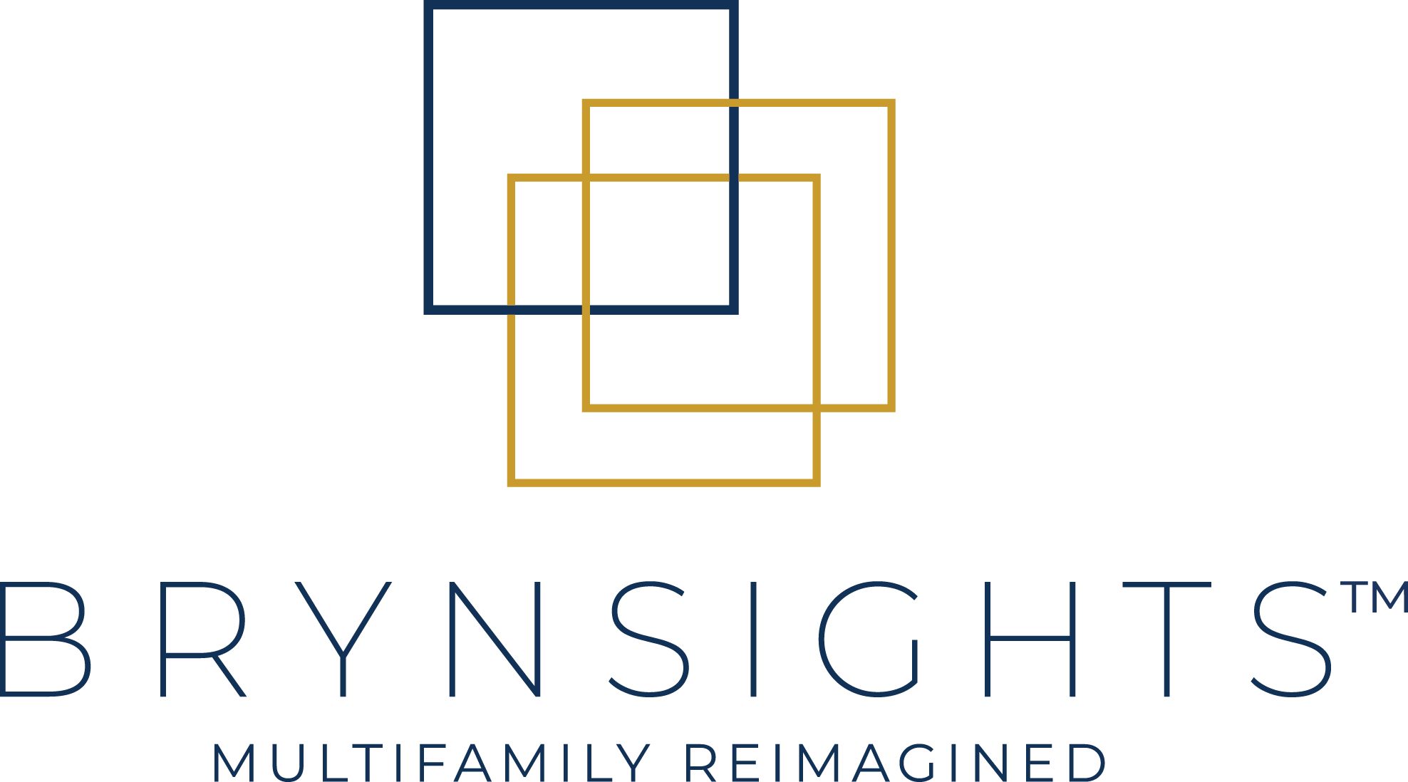 Brynsights™ Logo